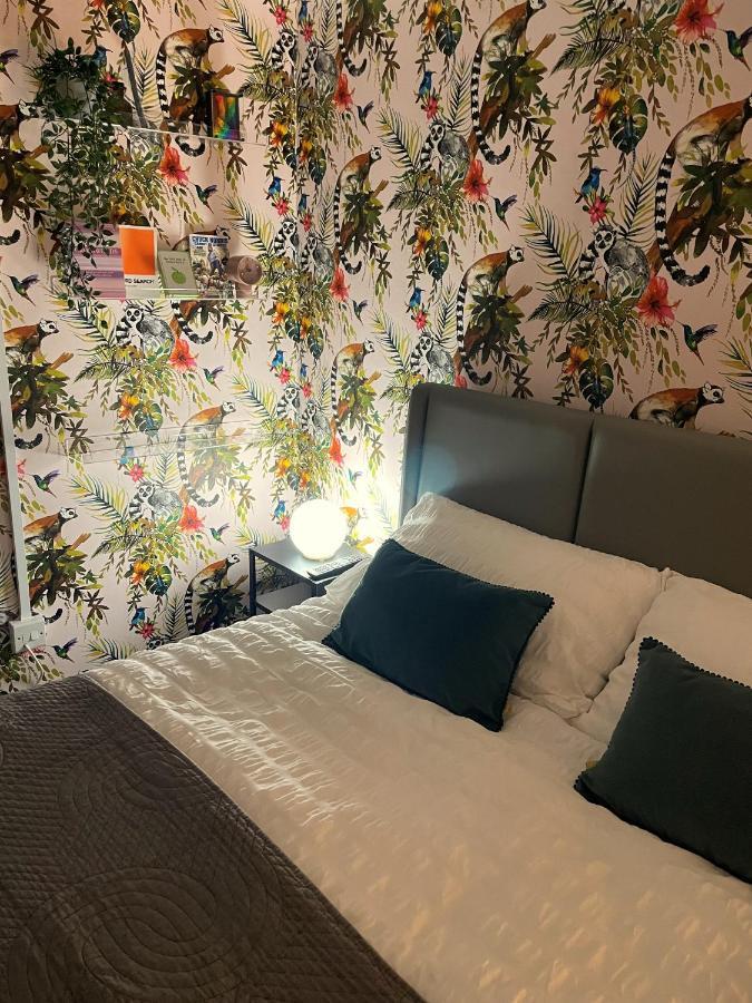 אקסטר Modern Studio Apartment; 10Min Walk To Town & Quay מראה חיצוני תמונה